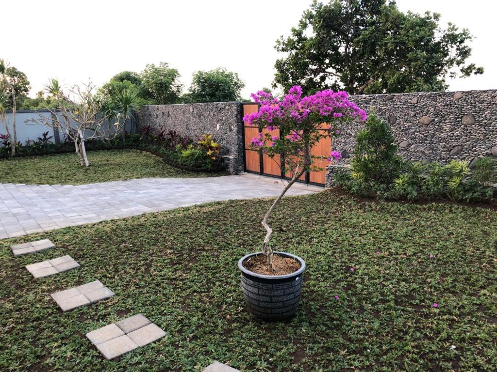 Villa Rosa East Bali Карангасем Экстерьер фото